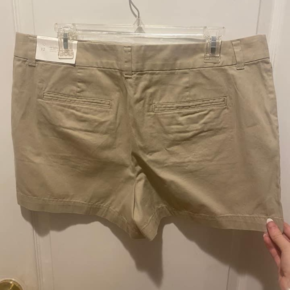BRAND NEW Loft Khaki shorts